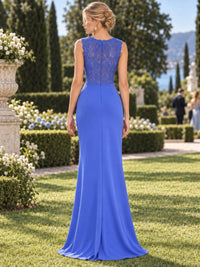 Back view of a lace and chiffon mother of the bride dress featuring a floral lace back bodice, sleeveless design, concealed center back zipper and streamlined floor-length sheath skirt.
